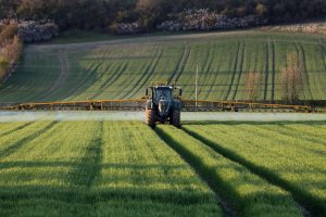 agriculture